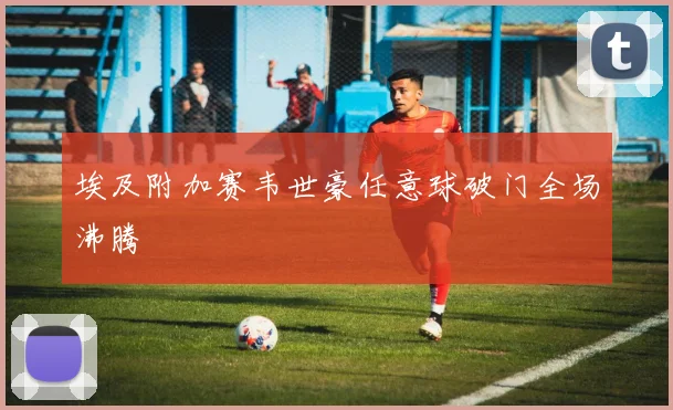 埃及附加赛韦世豪任意球破门全场沸腾