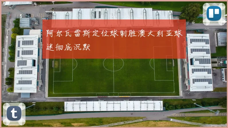 阿尔瓦雷斯定位球制胜澳大利亚球迷彻底沉默
