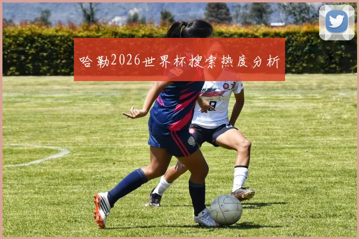 哈勒2026世界杯搜索热度分析