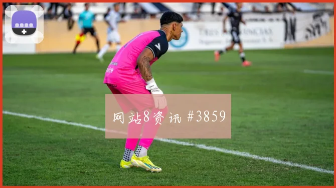 辛戈2026世界杯末轮首发机会
