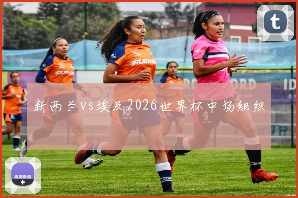 新西兰vs埃及2026世界杯中场组织