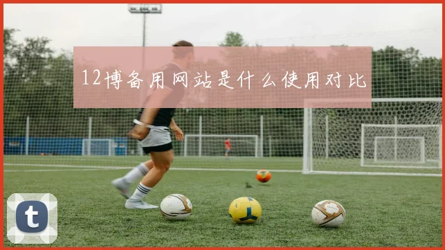 12博备用网站是什么使用对比