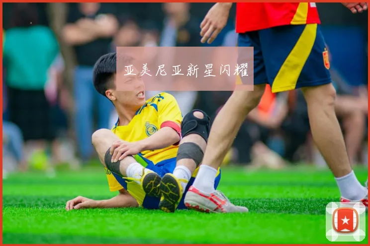 亚美尼亚新星闪耀