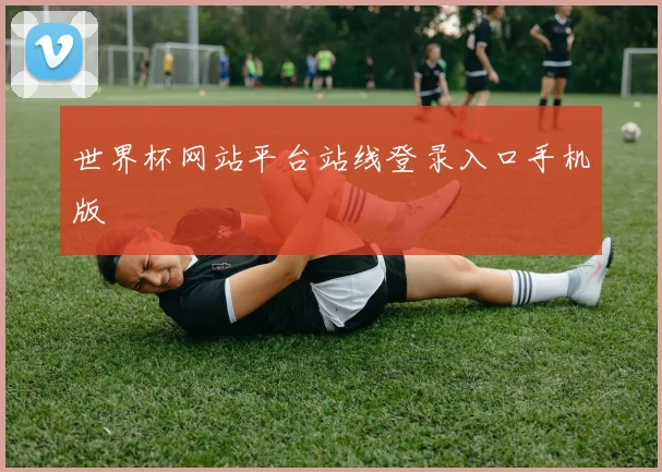 世界杯网站平台站线登录入口手机版