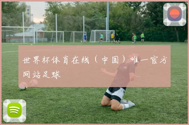 世界杯体育在线（中国）唯一官方网站足球