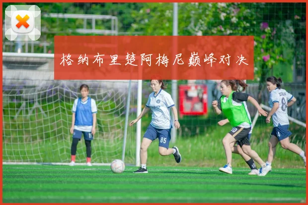 格纳布里楚阿梅尼巅峰对决