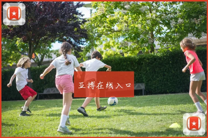 亚搏在线入口