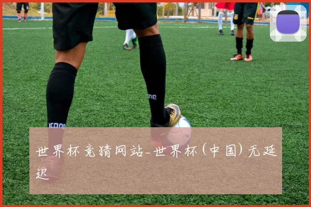世界杯竞猜网站_世界杯(中国)无延迟