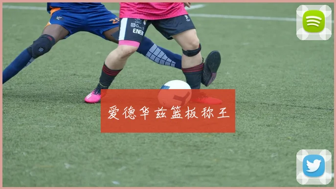 爱德华兹篮板称王