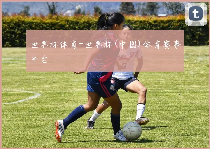 世界杯体育-世界杯(中国)体育赛事平台
