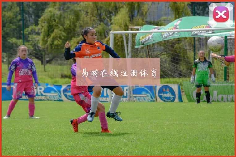 易游在线注册体育