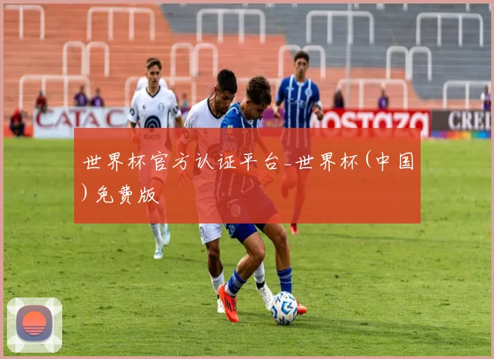 世界杯官方认证平台_世界杯(中国)免费版