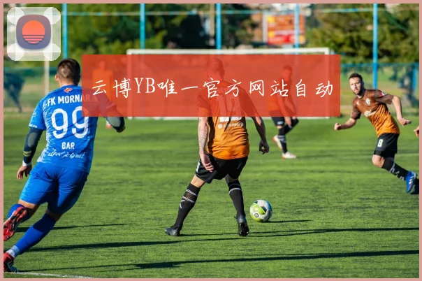 云博YB唯一官方网站自动