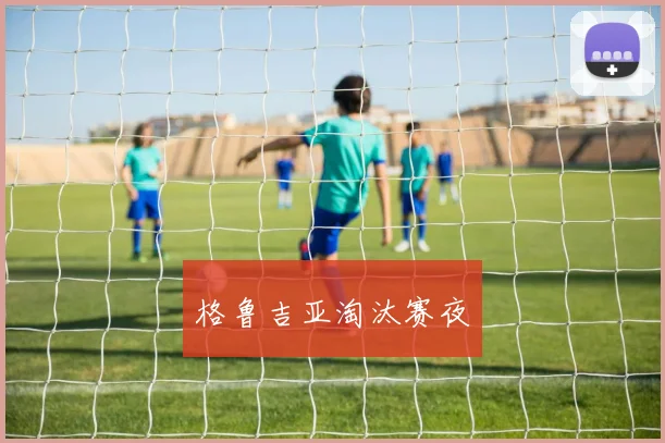 格鲁吉亚淘汰赛夜