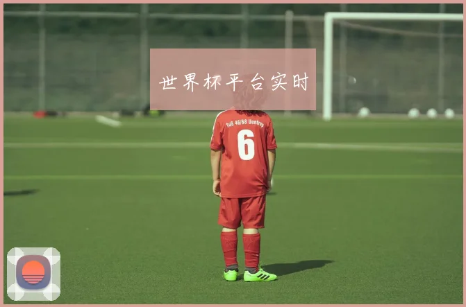 世界杯平台实时