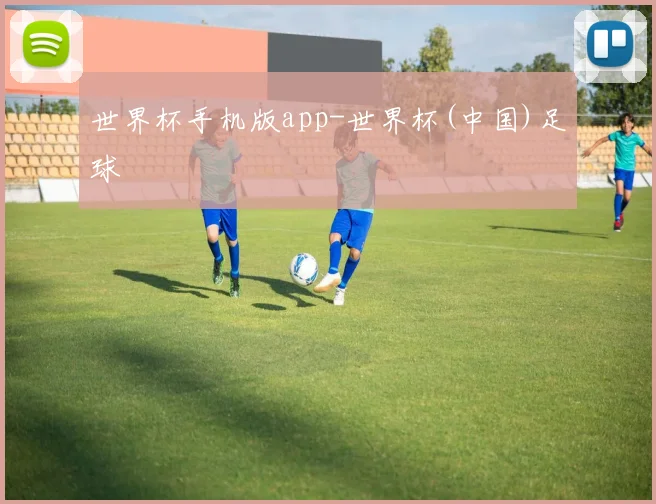 世界杯手机版app-世界杯(中国)足球