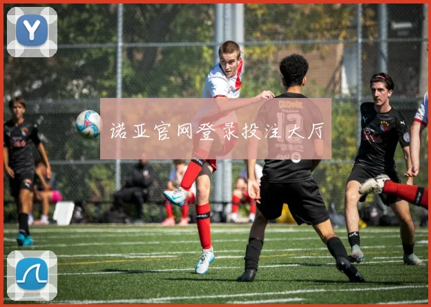 诺亚官网登录投注大厅