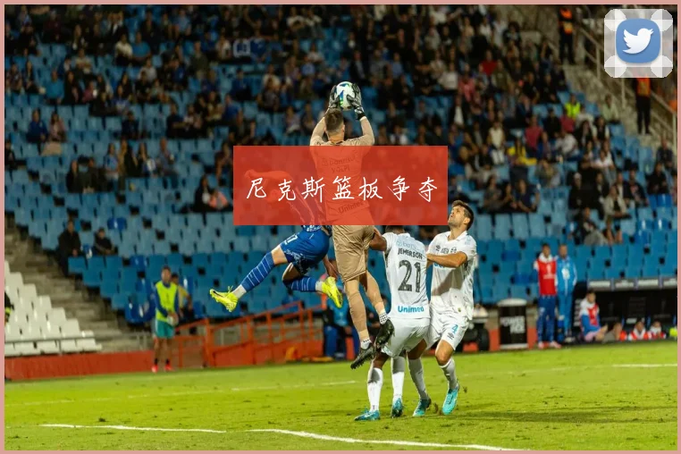 尼克斯篮板争夺