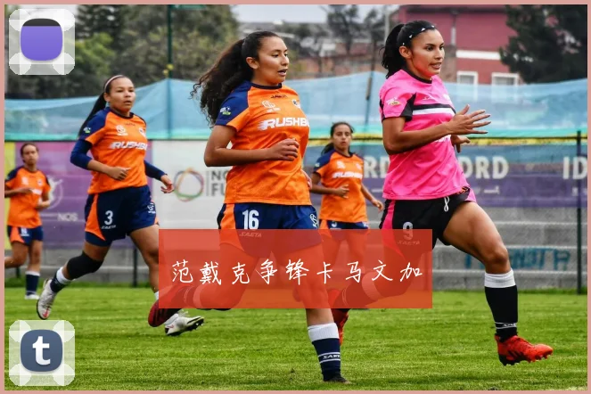 范戴克争锋卡马文加