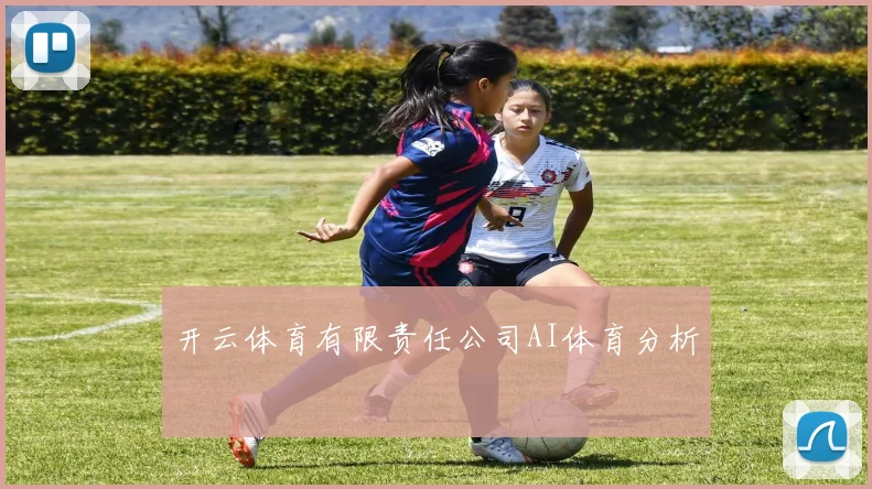 开云体育有限责任公司AI体育分析