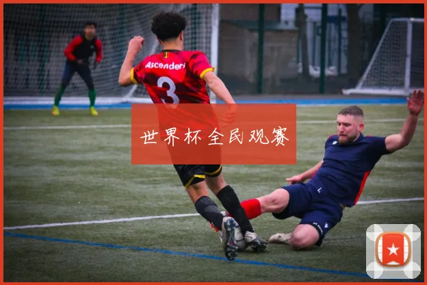 世界杯全民观赛