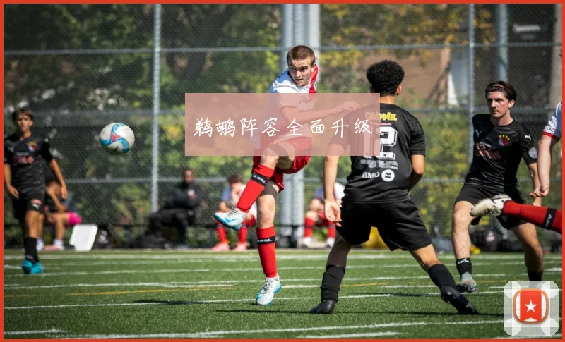 鹈鹕阵容全面升级