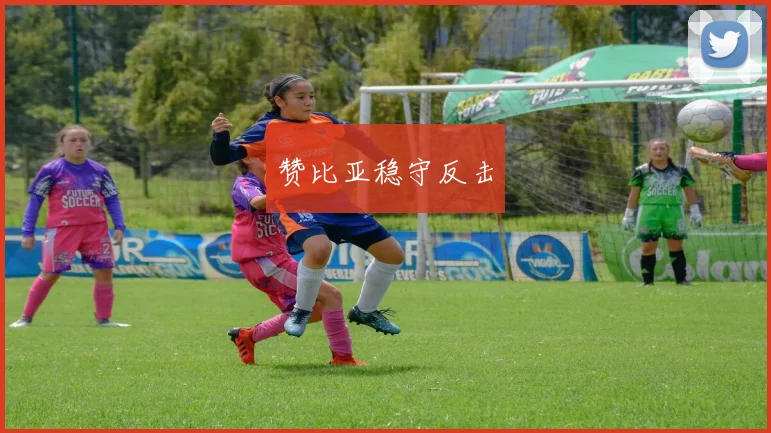 赞比亚稳守反击