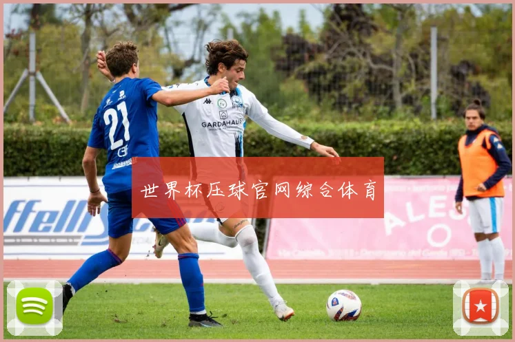 世界杯压球官网综合体育