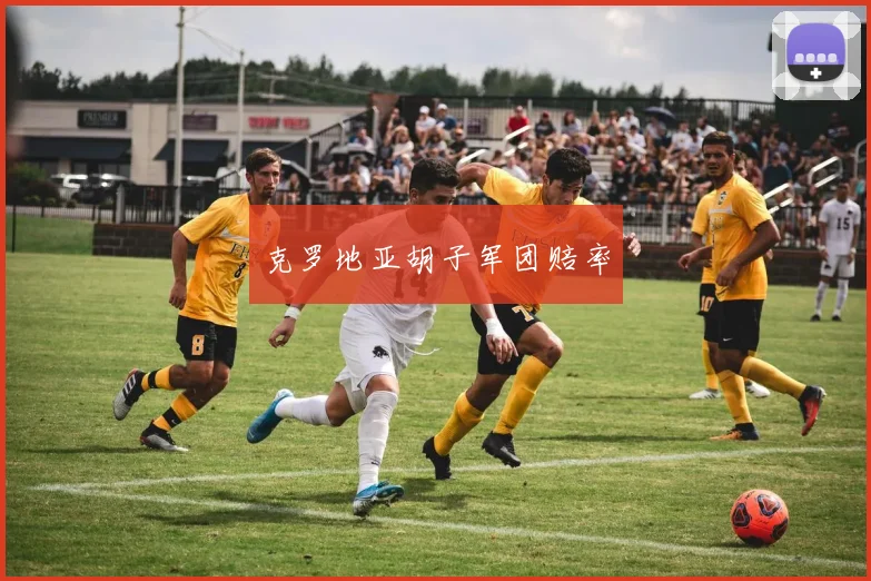 克罗地亚胡子军团赔率