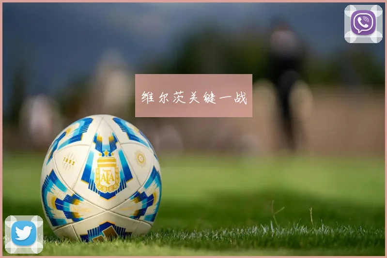 维尔茨关键一战