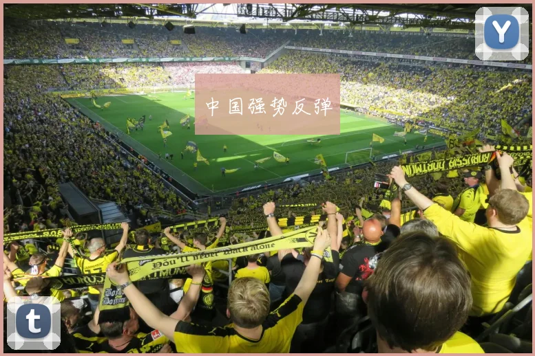 中国强势反弹