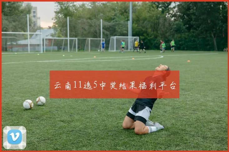 云南11选5中奖结果福利平台