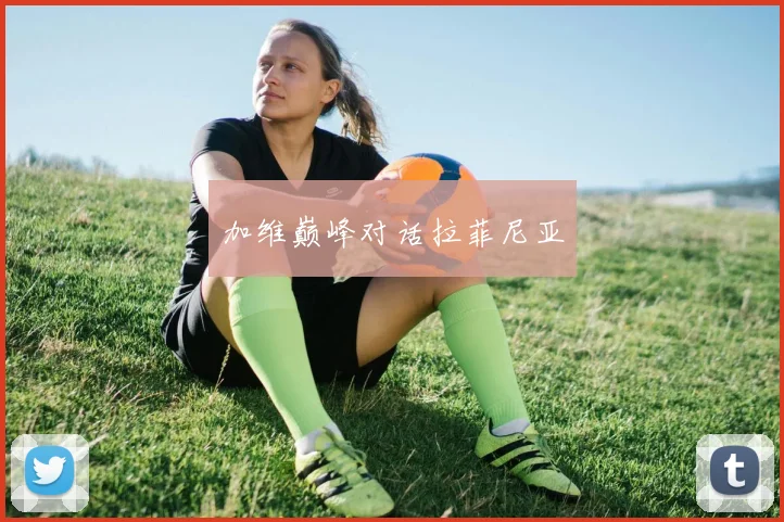 加维巅峰对话拉菲尼亚