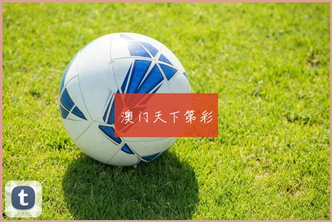 澳门天下第彩