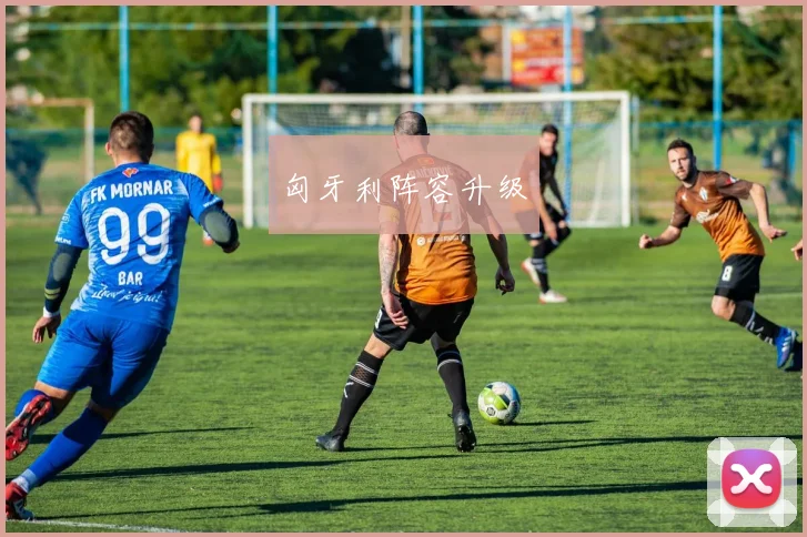 匈牙利阵容升级