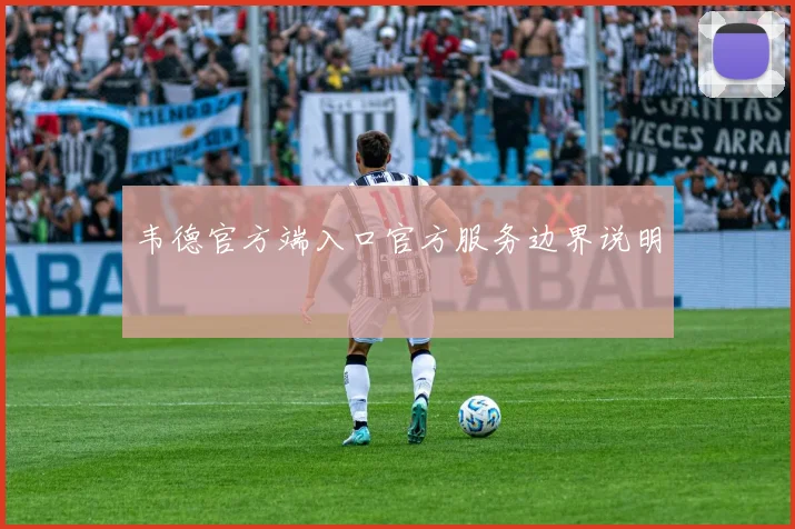 韦德官方端入口官方服务边界说明