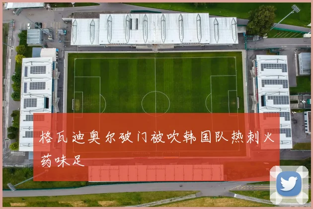 格瓦迪奥尔破门被吹韩国队热刺火药味足