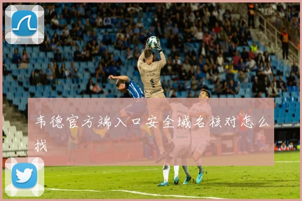 韦德官方端入口安全域名核对怎么找