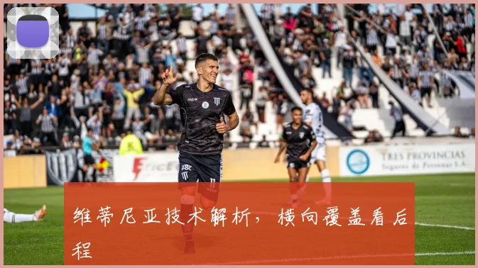 维蒂尼亚技术解析，横向覆盖看后程