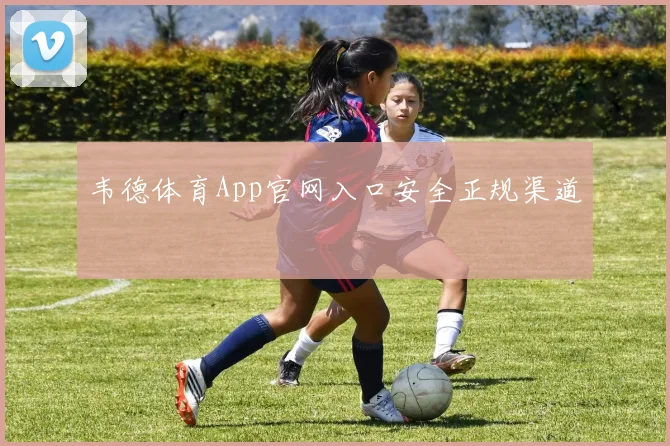 韦德体育App官网入口安全正规渠道